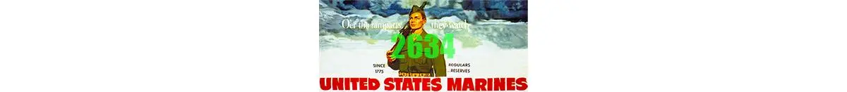 Ticjy United States Marines Billboard  (Tic2634) 1