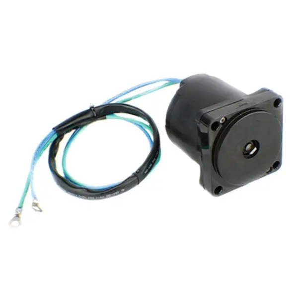 Tilt & Trim Motor 1