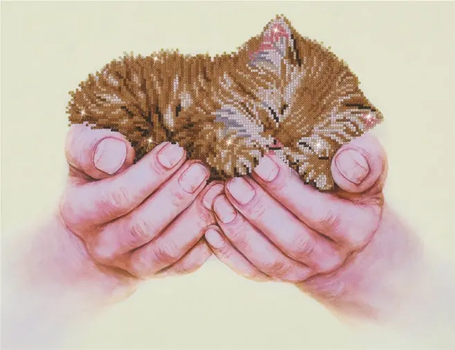 Precious Kitten  (Dd7.011) 1