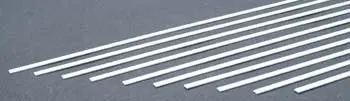 Evergreen Strips .060X.100" (Evg155) 1