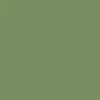 Mission Models Raf Interior Green  (Miommp079) 1