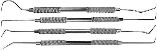 Model Expo 4 Stainless Steel Pro Quality Dental Probes (Mt1058) 1