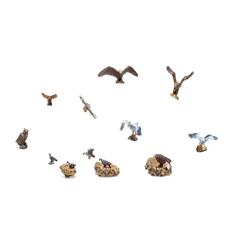 Ho Birds And Nests 1