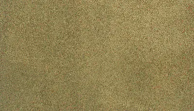 Woodland Scenics  Ready Grass 50 X 100 Mat Summer Lrg  (Woorg5124) 1