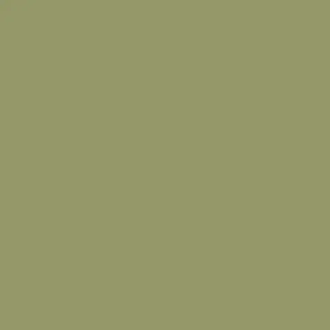 Mission Models Us Army Olive Drab Faded 2  (Miommp021) 1