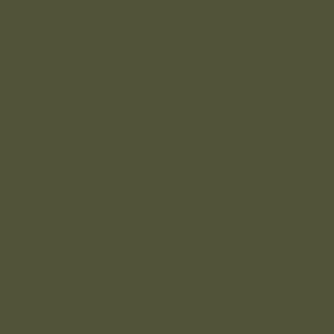 Mission Models Us Army Olive Drab Fs 33070  (Miommp026) 1