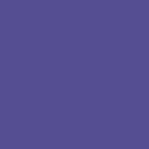 Mission Models Purple ( Purpleviolet)  (Miommp121) 1