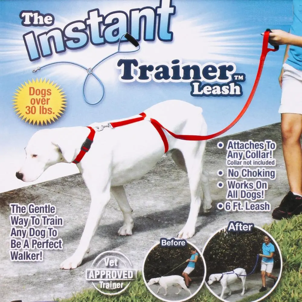 Instant Trainer Dog Leash 1