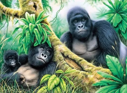 Mountain Gorillas Paint By Number Age 8+ (11.25"X15.375")  (Ral37374) 1
