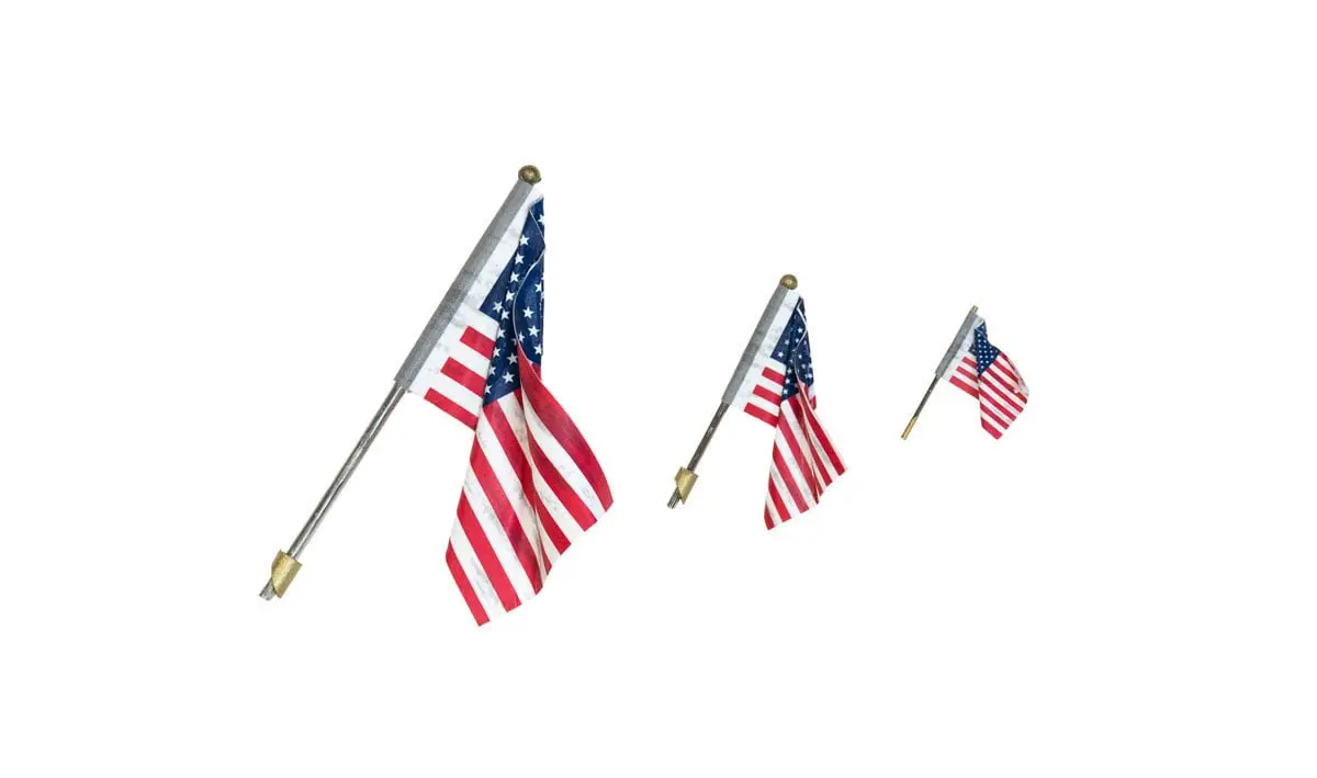 Woodland Scenics Wall Mount Flag With Spotlight Value Pack  (Woojp5924) 1