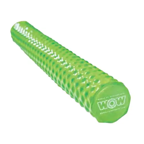 First Class Soft Dipped Foam Pool Noodle 1